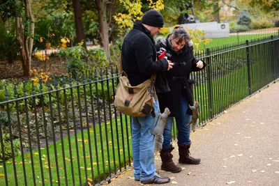 DSC_0611 (Large).JPG